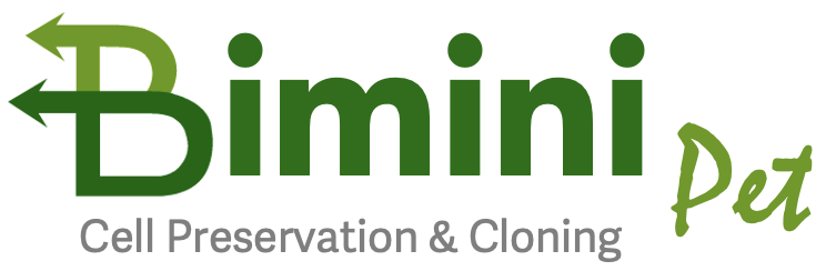 Bimini Pet